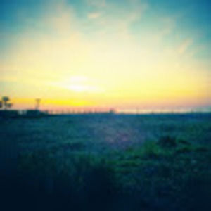 Meet your Posher, Darren